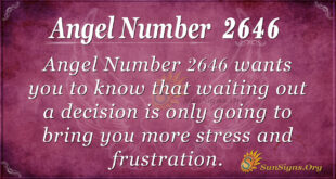 Angel Number 2646