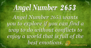 Angel number 2653