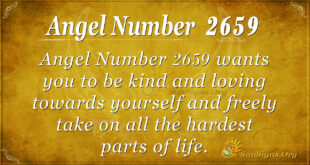 Angel Number 2659