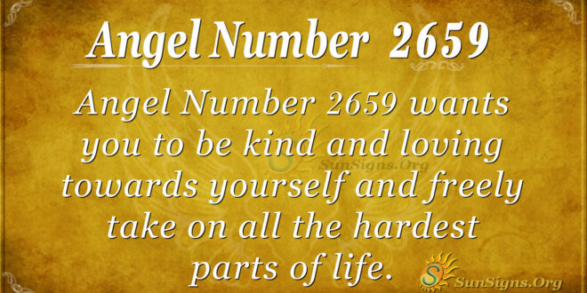 Angel Number 2659