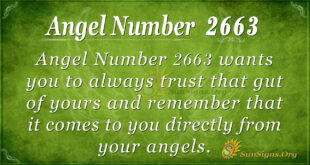 Angel Number 2663