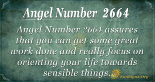 Angel Number 2664