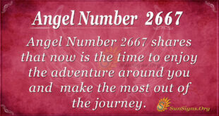Angel Number 2667
