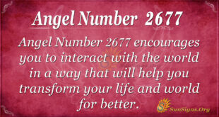 Angel Number 2677