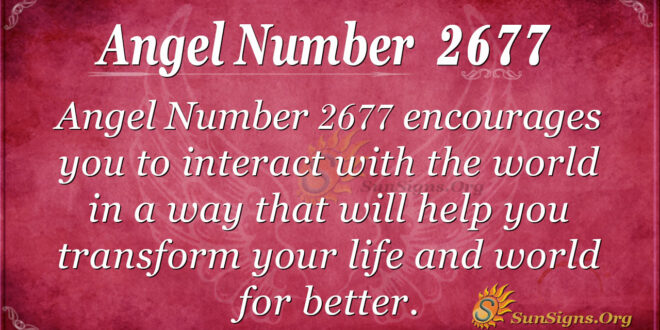 Angel Number 2677