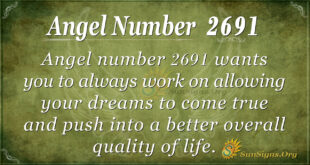 Angel Number 2691