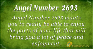 Angel Number 2693