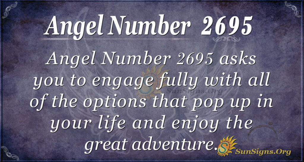 Angel Number 2695