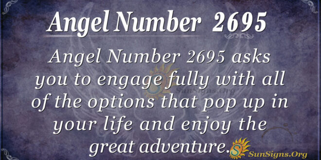 Angel Number 2695