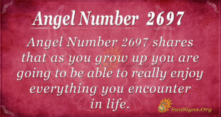 Angel Number 2697