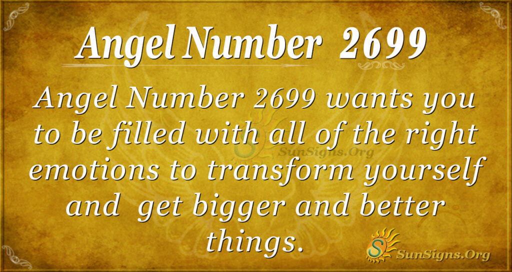 Angel number 2699