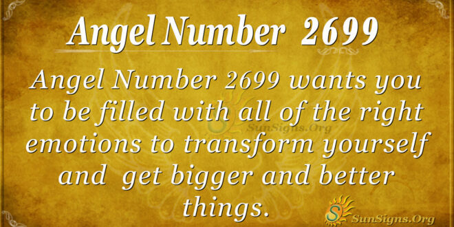 Angel number 2699