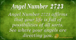 Angel Number 2723