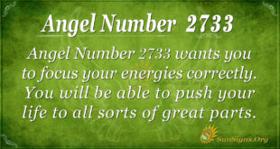 Angel Number 2733
