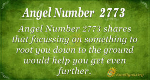 Angel Number 2773