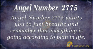 Angel Number 2775