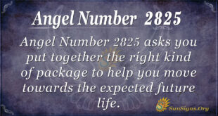 Angel Number 2825