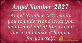Angel Number 2827