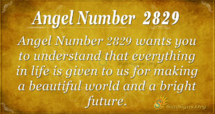Angel Number 2829