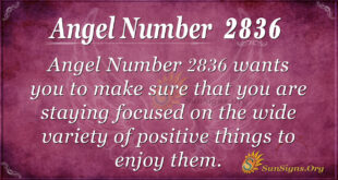 Angel Number 2836