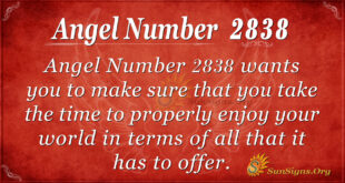 Angel Number 2838