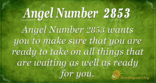 Angel Number 2853