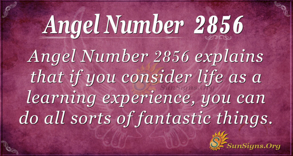 Angel Number 2856