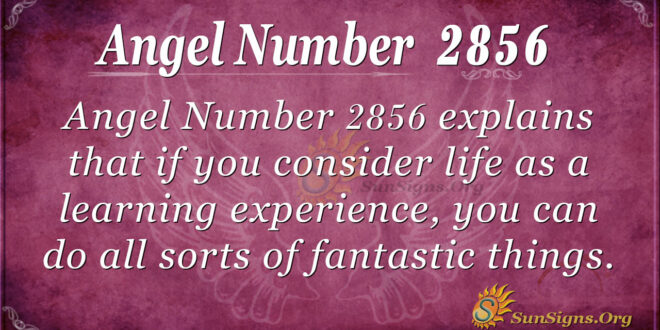 Angel Number 2856