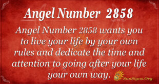 Angel Number 2858