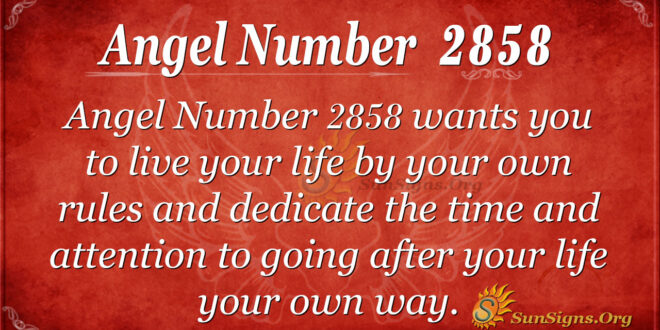 Angel Number 2858