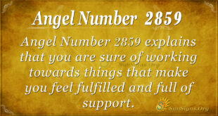 Angel Number 2859