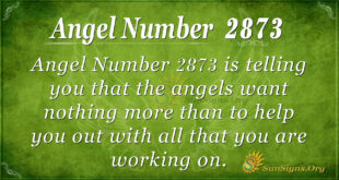 Angel Number 2873