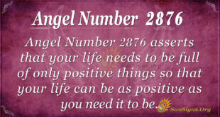 Angel Number 2876
