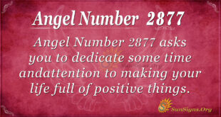 Angel Number 2877