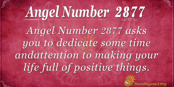 Angel Number 2877
