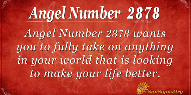 Angel Number 2878