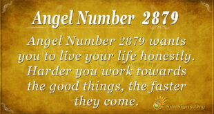 Angel Number 2879