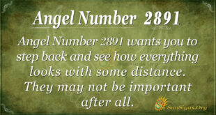 Angel Number 2891