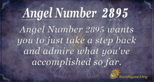 Angel Number 2895