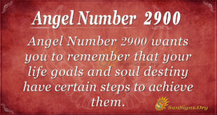 Angel Number 2900