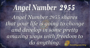 Angel Number 2955