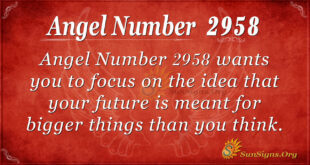 Angel Number 2958