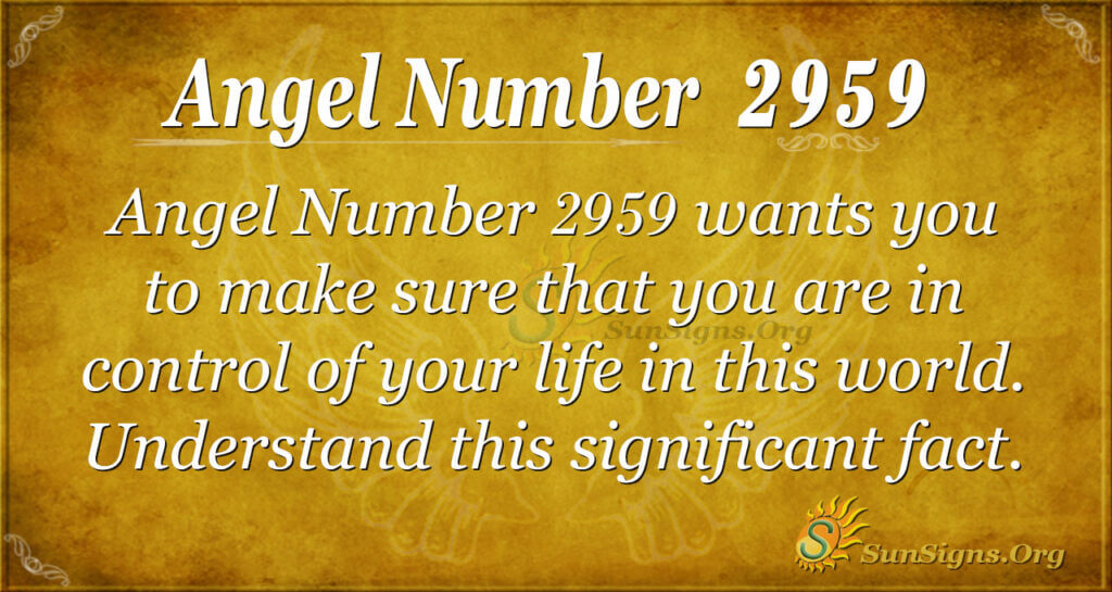 Angel Number 2959