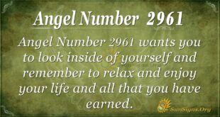 Angel Number 2961