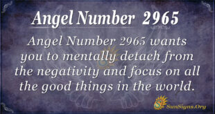 Angel Number 2965