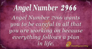 Angel Number 2966