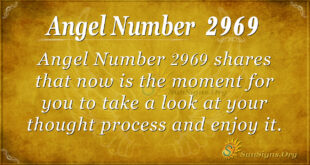 Angel Number 2969