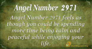 Angel Number 2971