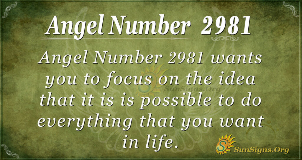 Angel Number 2981