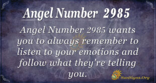 Angel Number 2985